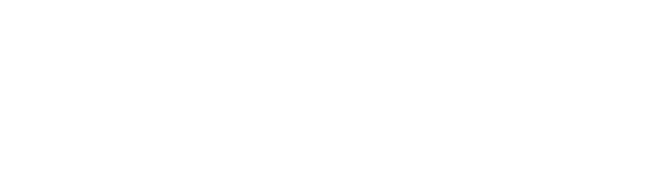 The Signature House by Alicia Schlienz